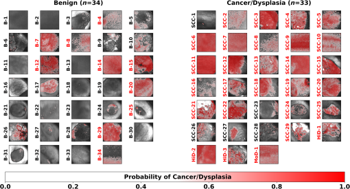 BIOS_1_2_025001_f004.png