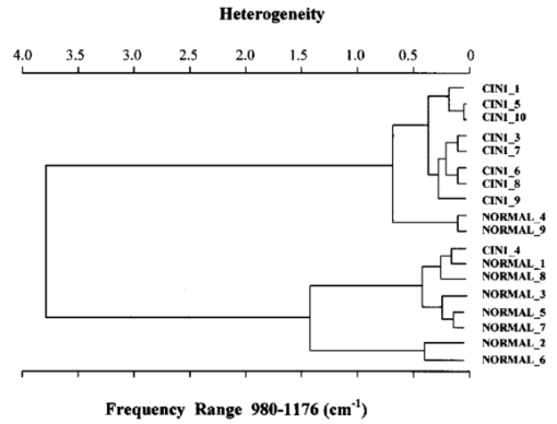 026403j.7.jpg